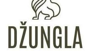 Radio Džungla Doboj